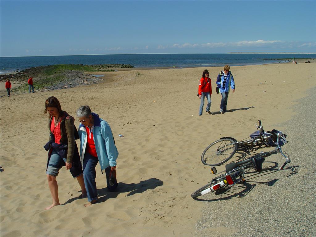 ../image/dsc03951 (large).jpg